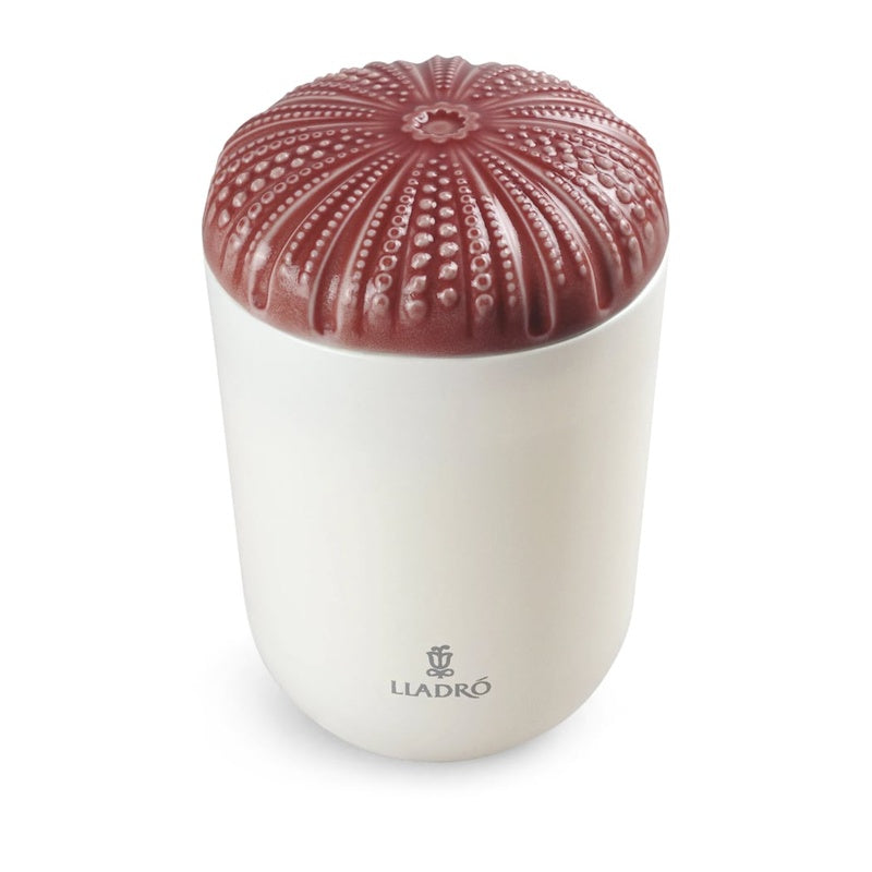 Vela Mediterranean Beach Echoes of Nature 200g - Mercado de Luxo - O Maior E-Commerce de Bens, Produtos e Serviços de Luxo do Brasil.