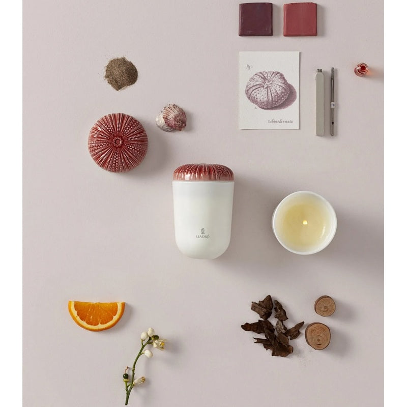 Vela Mediterranean Beach Echoes of Nature 200g - Mercado de Luxo - O Maior E-Commerce de Bens, Produtos e Serviços de Luxo do Brasil.