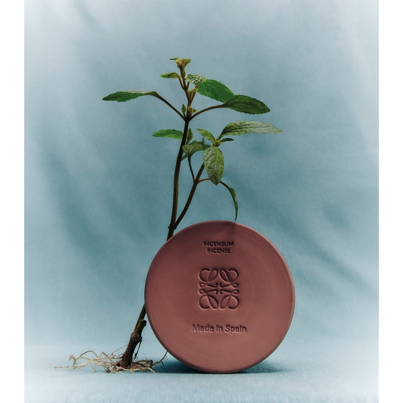 Insenso Medium 610g - Mercado de Luxo - O Maior E-Commerce de Bens, Produtos e Serviços de Luxo do Brasil.