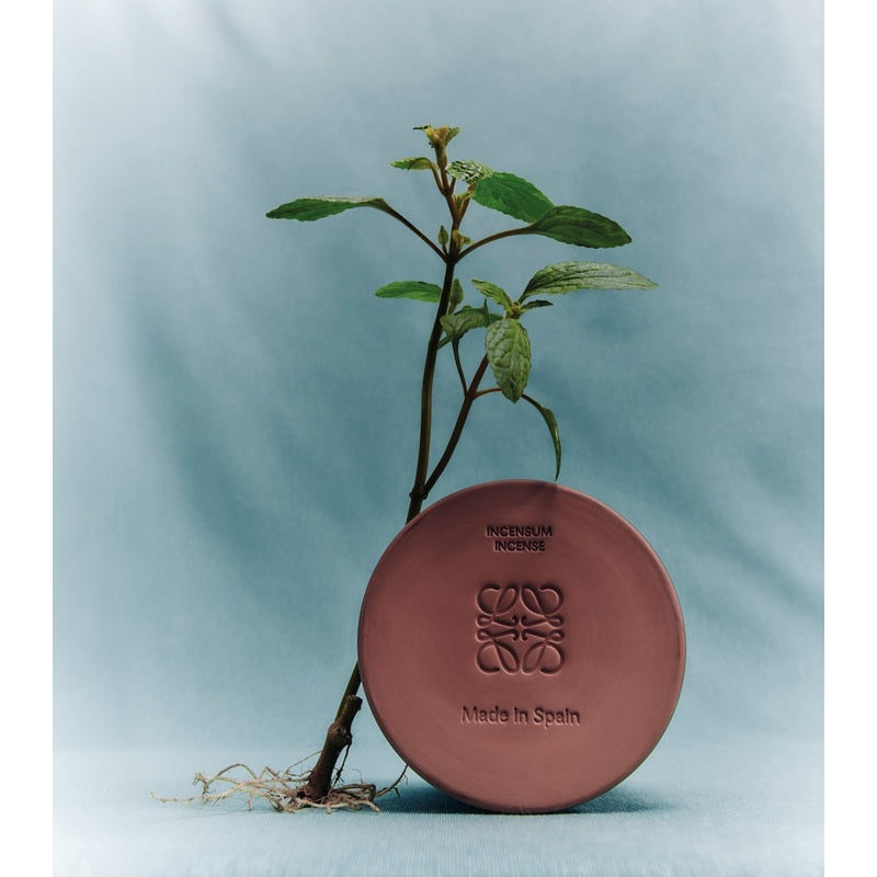 Insenso Large 2.12kg - Mercado de Luxo - O Maior E-Commerce de Bens, Produtos e Serviços de Luxo do Brasil.