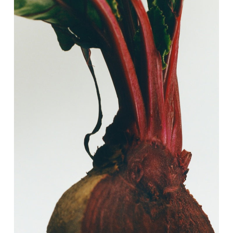 Vela Small Beetroot  170g - Mercado de Luxo - O Maior E-Commerce de Bens, Produtos e Serviços de Luxo do Brasil.