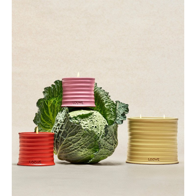 Vela Honeysuckle 170g - Mercado de Luxo - O Maior E-Commerce de Bens, Produtos e Serviços de Luxo do Brasil.