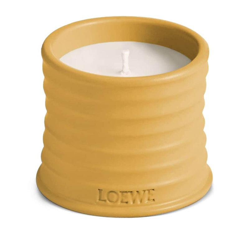 Vela Small Wasabi 170g - Mercado de Luxo - O Maior E-Commerce de Bens, Produtos e Serviços de Luxo do Brasil.