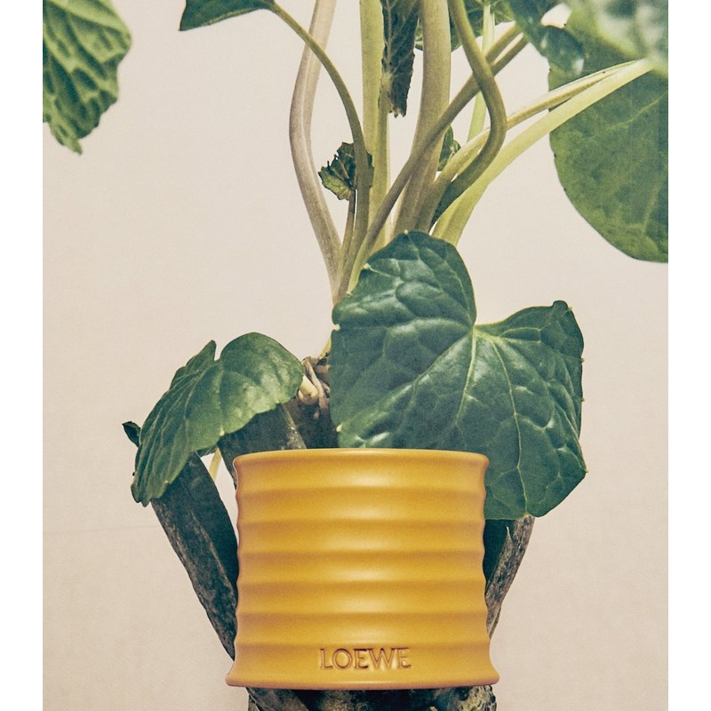 Vela Small Wasabi 170g - Mercado de Luxo - O Maior E-Commerce de Bens, Produtos e Serviços de Luxo do Brasil.