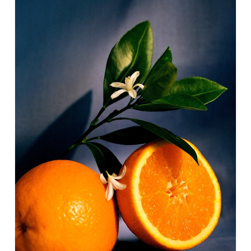 Vela Small Orange Blossom 500g - Mercado de Luxo - O Maior E-Commerce de Bens, Produtos e Serviços de Luxo do Brasil.