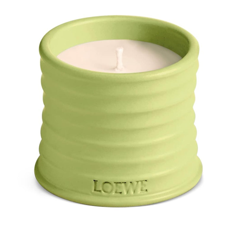 Vela Small Cucumber 170g - Mercado de Luxo - O Maior E-Commerce de Bens, Produtos e Serviços de Luxo do Brasil.