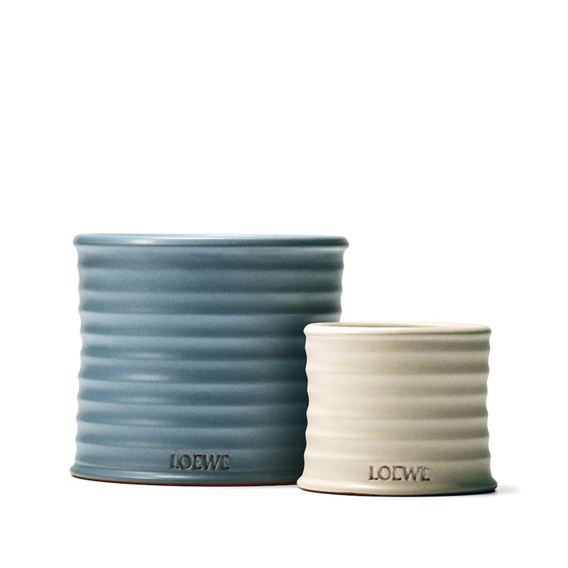 Vela Small Oregano 170g - Mercado de Luxo - O Maior E-Commerce de Bens, Produtos e Serviços de Luxo do Brasil.