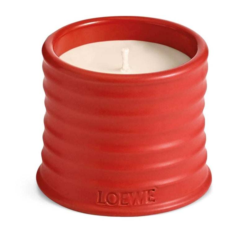 Vela Small Tomato Leaves 170g - Mercado de Luxo - O Maior E-Commerce de Bens, Produtos e Serviços de Luxo do Brasil.