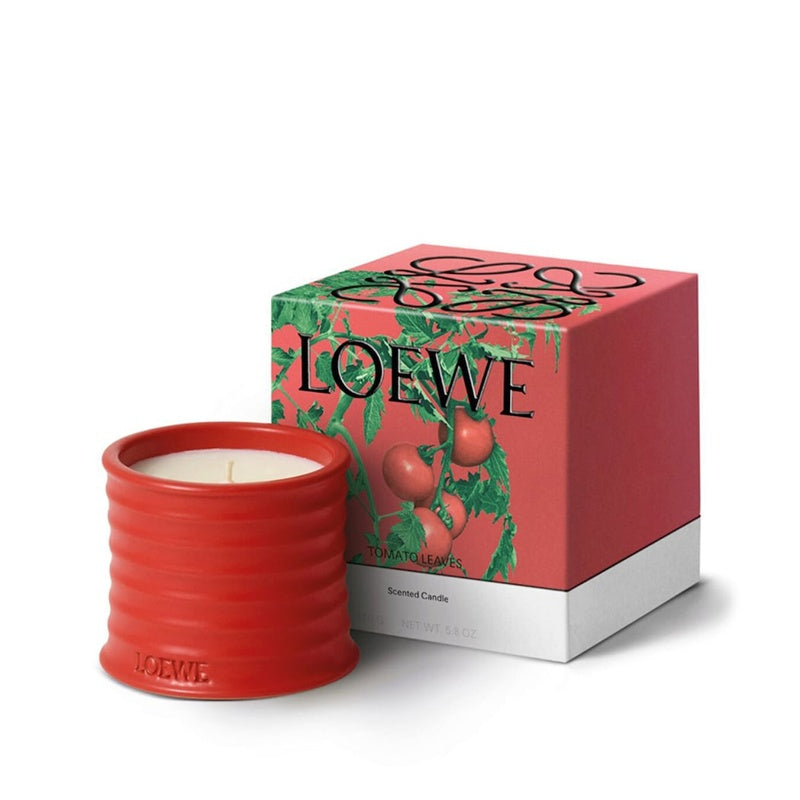 Vela Small Tomato Leaves 170g - Mercado de Luxo - O Maior E-Commerce de Bens, Produtos e Serviços de Luxo do Brasil.