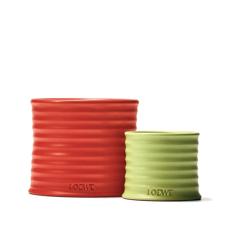 Vela Small Tomato Leaves 170g - Mercado de Luxo - O Maior E-Commerce de Bens, Produtos e Serviços de Luxo do Brasil.