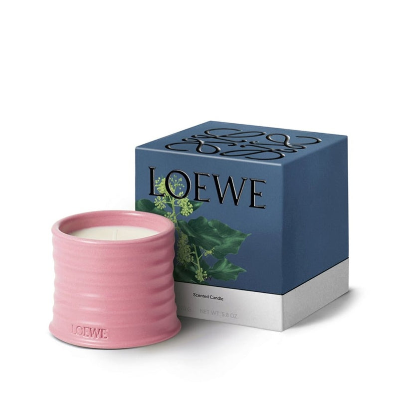 Vela Small Ivy 170g - Mercado de Luxo - O Maior E-Commerce de Bens, Produtos e Serviços de Luxo do Brasil.