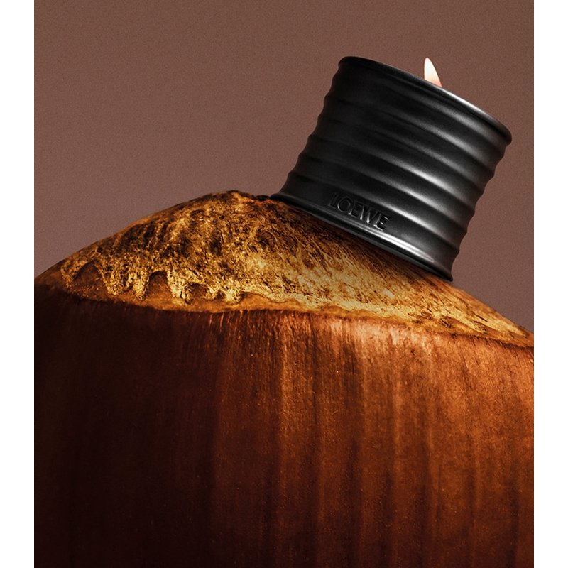 Vela Roasted Hazelnut Chandelier 330g - Mercado de Luxo - O Maior E-Commerce de Bens, Produtos e Serviços de Luxo do Brasil.