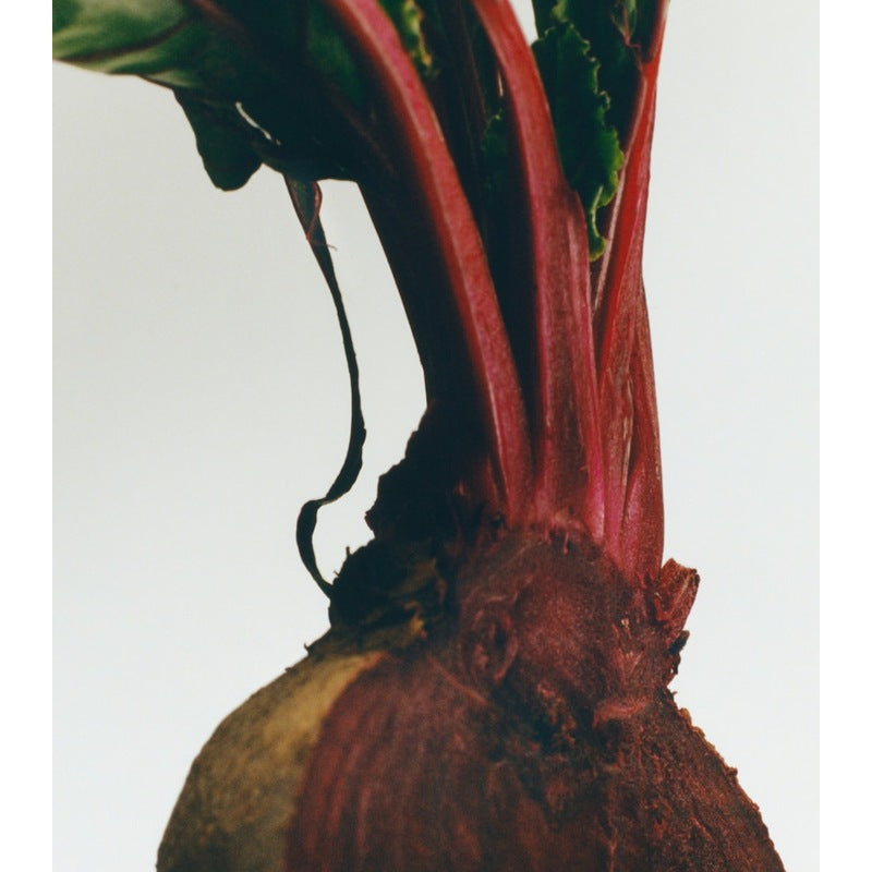 Vela Beetroot Chandelier 330g - Mercado de Luxo - O Maior E-Commerce de Bens, Produtos e Serviços de Luxo do Brasil.