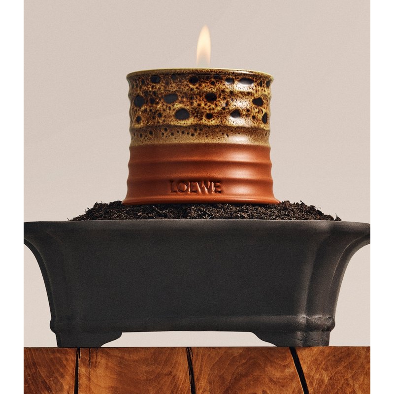 Vela Mimosa 170g - Mercado de Luxo - O Maior E-Commerce de Bens, Produtos e Serviços de Luxo do Brasil.