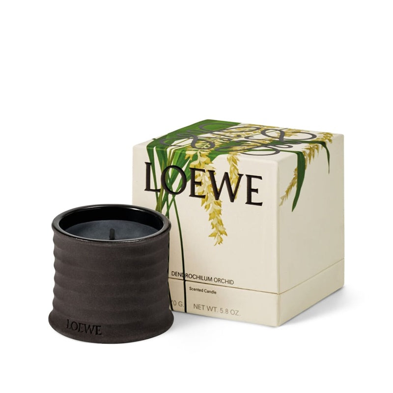 Vela Dendrochilum Orchid 170g - Mercado de Luxo - O Maior E-Commerce de Bens, Produtos e Serviços de Luxo do Brasil.