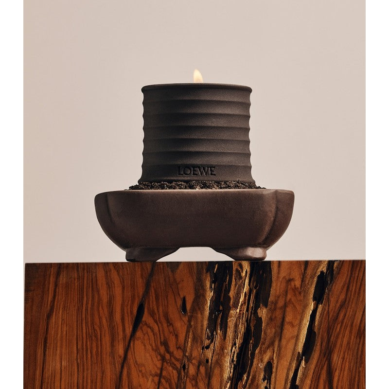 Vela Dendrochilum Orchid 170g - Mercado de Luxo - O Maior E-Commerce de Bens, Produtos e Serviços de Luxo do Brasil.