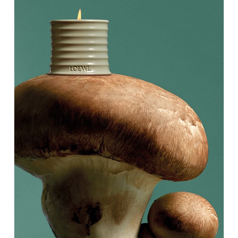 Vela Medium Mushroom Scented - Mercado de Luxo - O Maior E-Commerce de Bens, Produtos e Serviços de Luxo do Brasil.