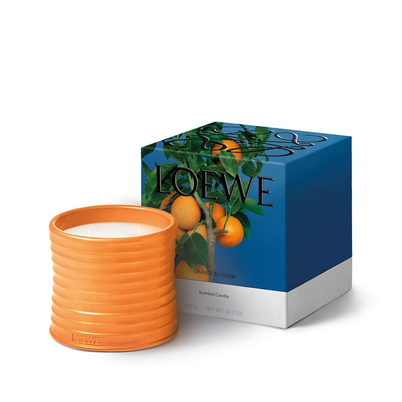 Vela Medium Orange Blossom 1.5kg - Mercado de Luxo - O Maior E-Commerce de Bens, Produtos e Serviços de Luxo do Brasil.