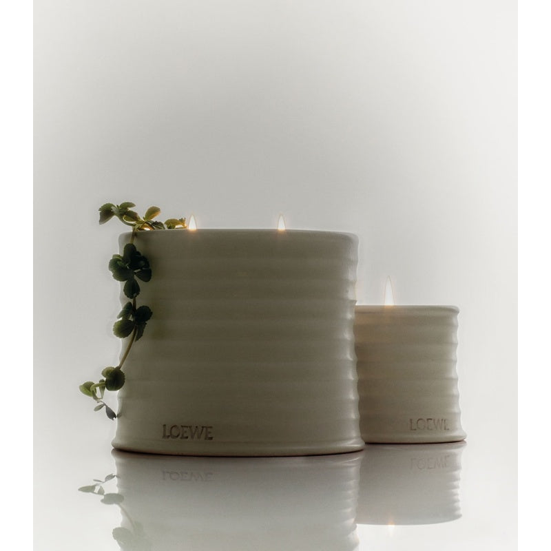 Vela Medium Oregano 610g - Mercado de Luxo - O Maior E-Commerce de Bens, Produtos e Serviços de Luxo do Brasil.