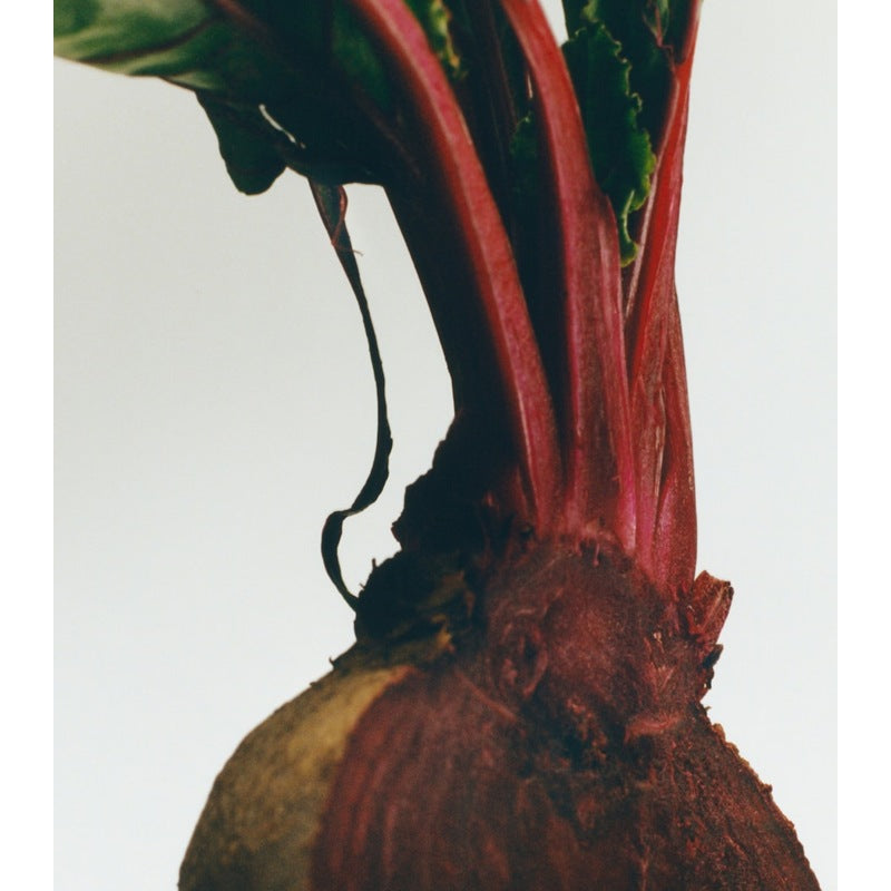 Vela Medium Beetroot 610g - Mercado de Luxo - O Maior E-Commerce de Bens, Produtos e Serviços de Luxo do Brasil.