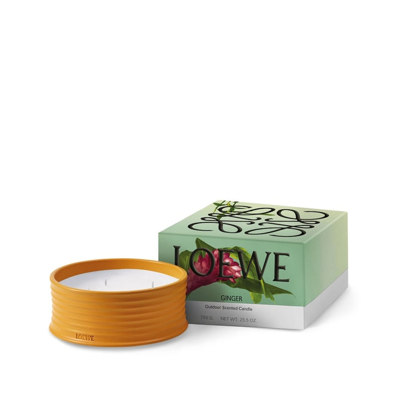 Vela Ginger Outdoor 900g - Mercado de Luxo - O Maior E-Commerce de Bens, Produtos e Serviços de Luxo do Brasil.