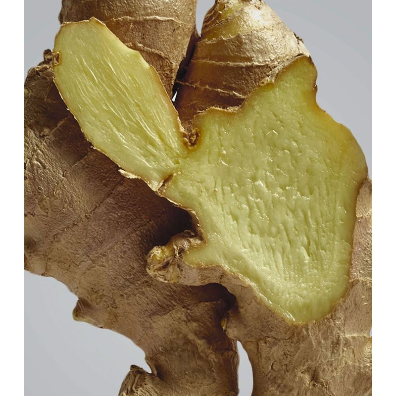 Vela Ginger Outdoor 900g - Mercado de Luxo - O Maior E-Commerce de Bens, Produtos e Serviços de Luxo do Brasil.