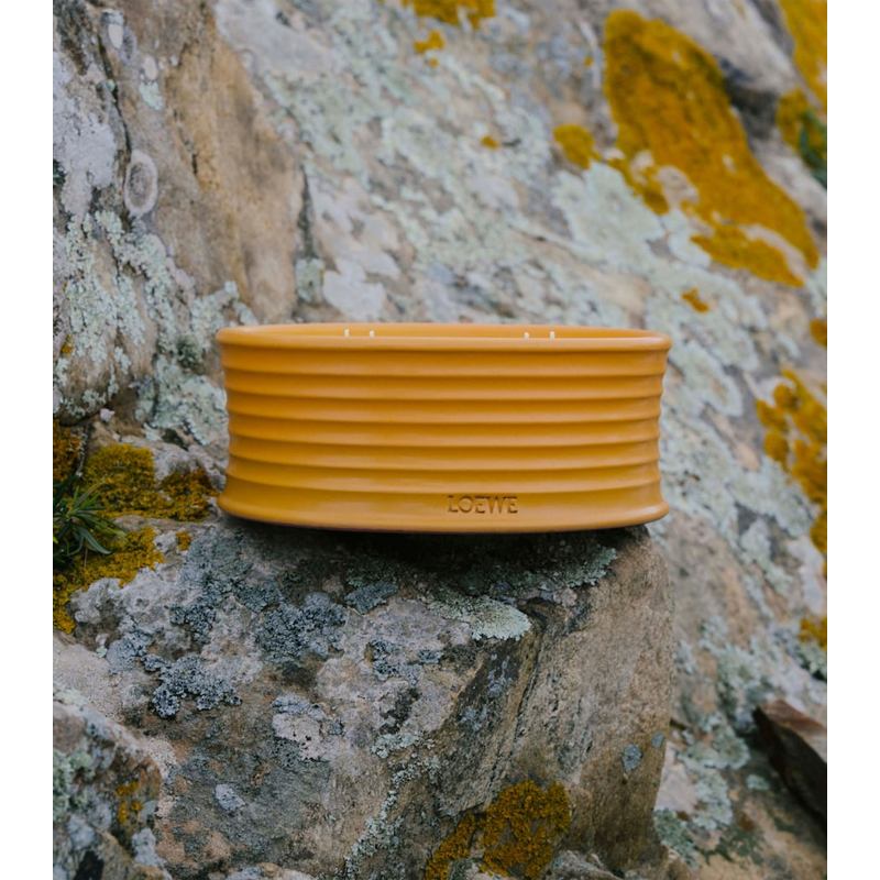 Vela Ginger Outdoor 900g - Mercado de Luxo - O Maior E-Commerce de Bens, Produtos e Serviços de Luxo do Brasil.