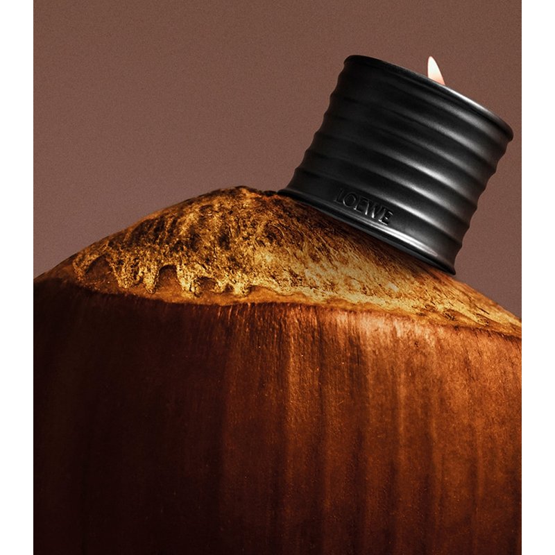 Vela Large Roasted Hazelnut 2.12kg - Mercado de Luxo - O Maior E-Commerce de Bens, Produtos e Serviços de Luxo do Brasil.