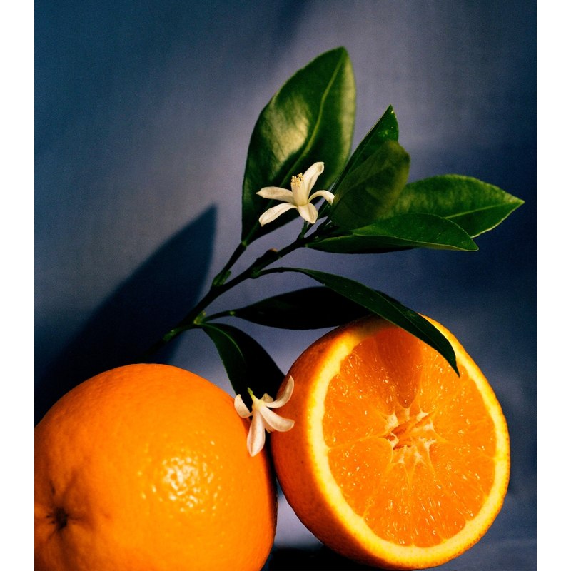 Vela Large Orange Blossom 4.85kg - Mercado de Luxo - O Maior E-Commerce de Bens, Produtos e Serviços de Luxo do Brasil.
