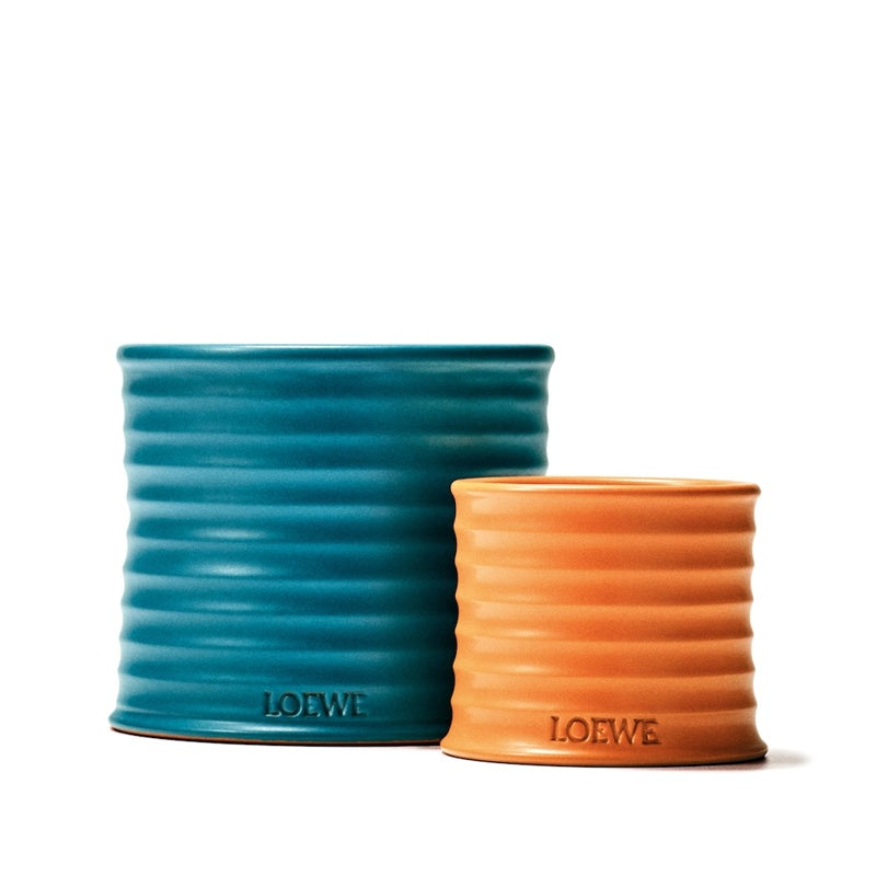 Vela Large Orange Blossom 4.85kg - Mercado de Luxo - O Maior E-Commerce de Bens, Produtos e Serviços de Luxo do Brasil.