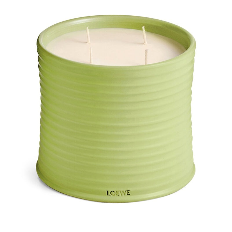 Vela Large Cucumber 2.12kg - Mercado de Luxo - O Maior E-Commerce de Bens, Produtos e Serviços de Luxo do Brasil.