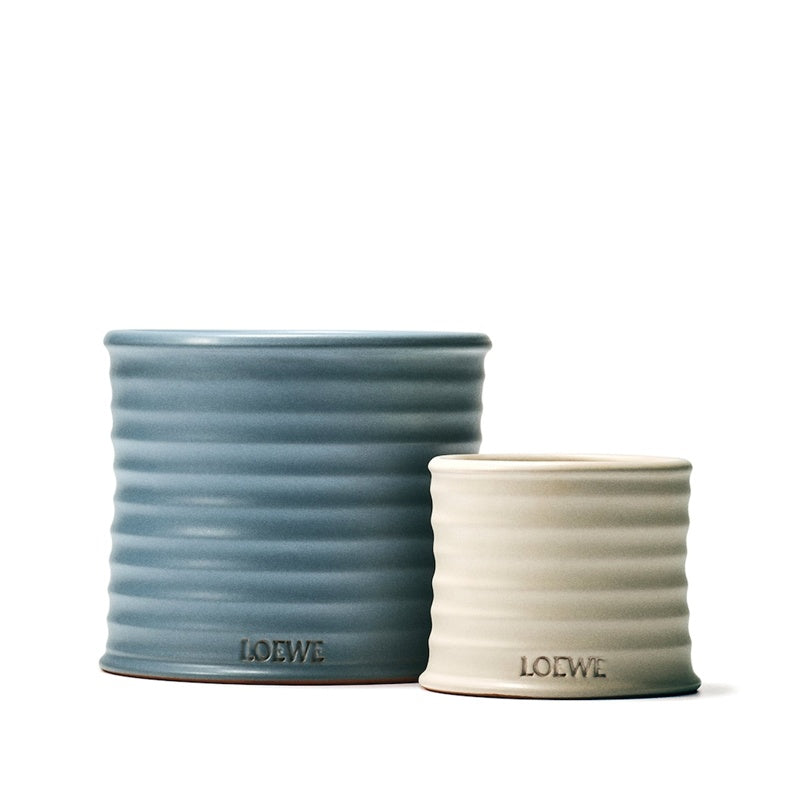 Vela Large Oregano 2.12kg - Mercado de Luxo - O Maior E-Commerce de Bens, Produtos e Serviços de Luxo do Brasil.