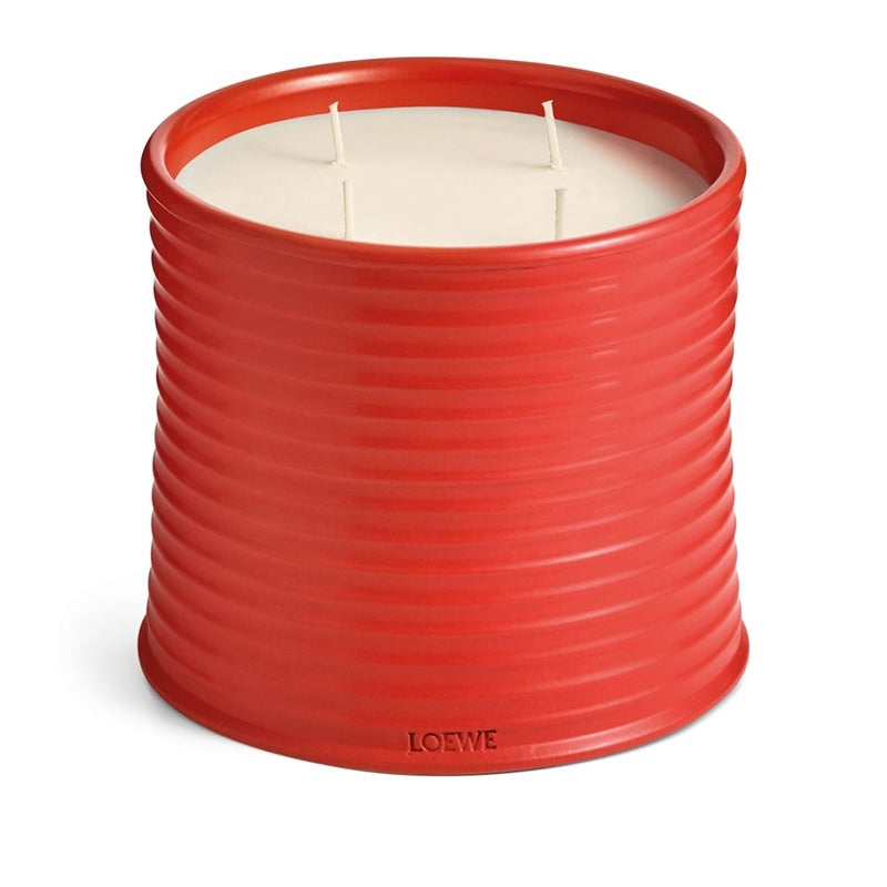 Vela Large Tomato Leaves 2.12kg - Mercado de Luxo - O Maior E-Commerce de Bens, Produtos e Serviços de Luxo do Brasil.