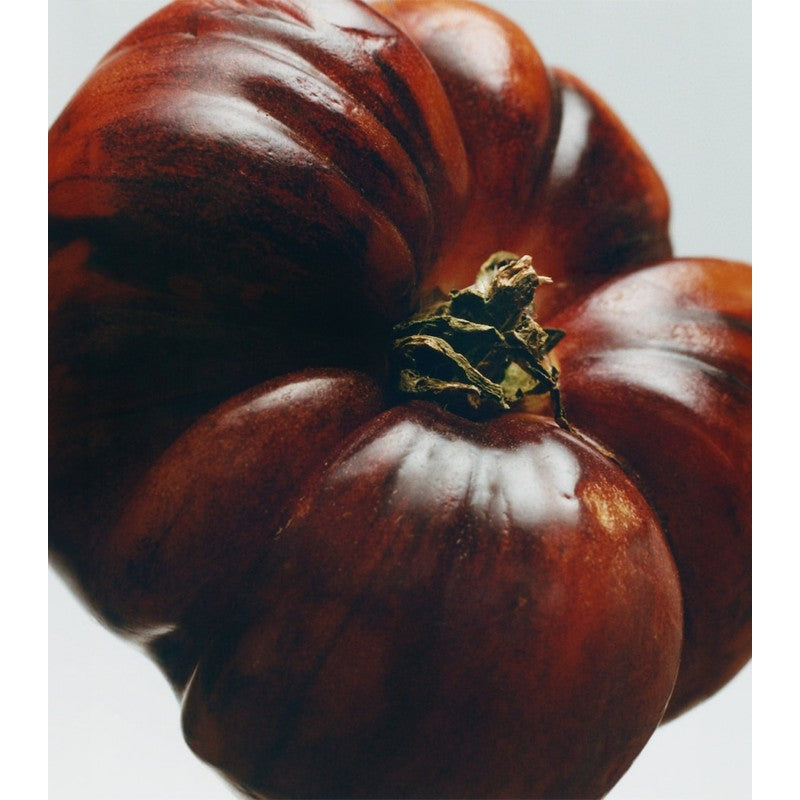 Vela Large Tomato Leaves 2.12kg - Mercado de Luxo - O Maior E-Commerce de Bens, Produtos e Serviços de Luxo do Brasil.