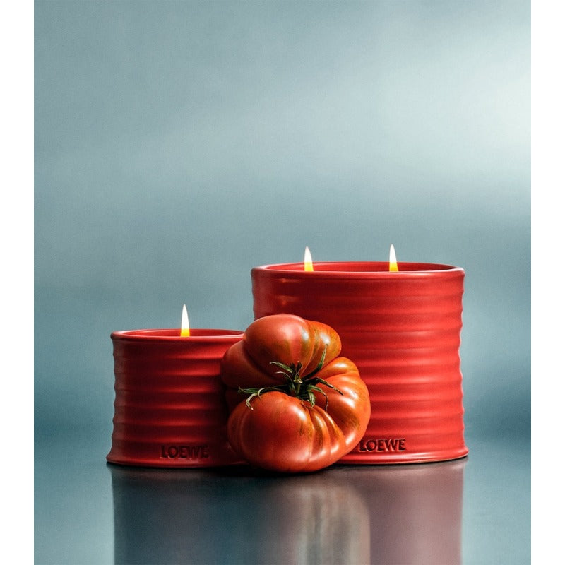 Vela Large Tomato Leaves 2.12kg - Mercado de Luxo - O Maior E-Commerce de Bens, Produtos e Serviços de Luxo do Brasil.