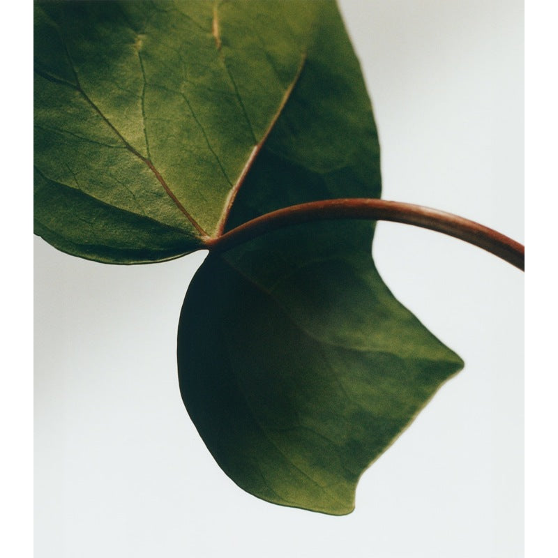 Vela Large Ivy 2.12kg - Mercado de Luxo - O Maior E-Commerce de Bens, Produtos e Serviços de Luxo do Brasil.