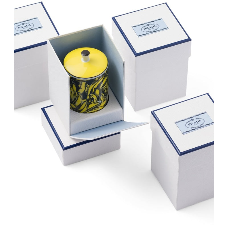 Vela Porcelain Seringàt 250g - Mercado de Luxo - O Maior E-Commerce de Bens, Produtos e Serviços de Luxo do Brasil.