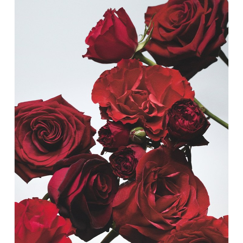 Sabonete Red Roses 100g - Mercado de Luxo - O Maior E-Commerce de Bens, Produtos e Serviços de Luxo do Brasil.
