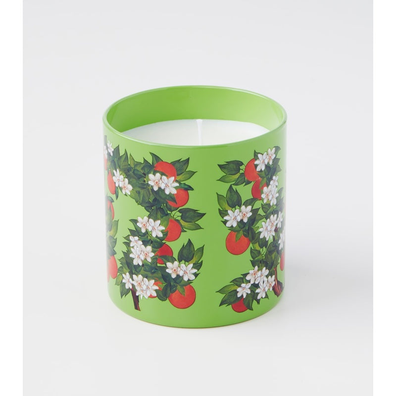 Vela Arancio Di Sicilia - Mercado de Luxo - O Maior E-Commerce de Bens, Produtos e Serviços de Luxo do Brasil.