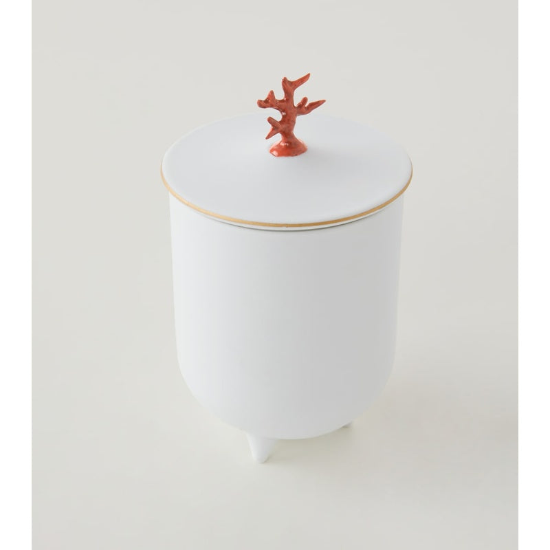 Vela de coral com pé - Mercado de Luxo - O Maior E-Commerce de Bens, Produtos e Serviços de Luxo do Brasil.