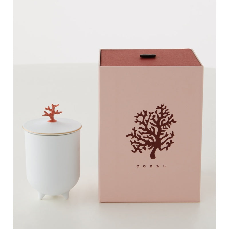 Vela de coral com pé - Mercado de Luxo - O Maior E-Commerce de Bens, Produtos e Serviços de Luxo do Brasil.