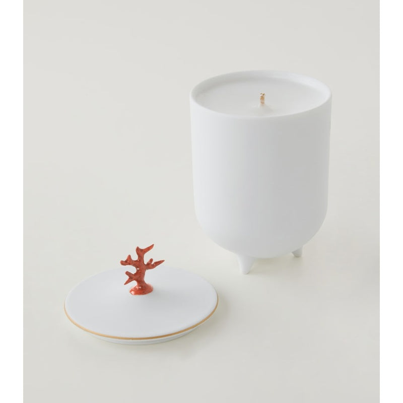 Vela de coral com pé - Mercado de Luxo - O Maior E-Commerce de Bens, Produtos e Serviços de Luxo do Brasil.