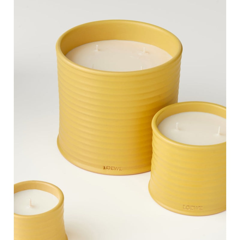 Vela grande Honeysuckle - Mercado de Luxo - O Maior E-Commerce de Bens, Produtos e Serviços de Luxo do Brasil.