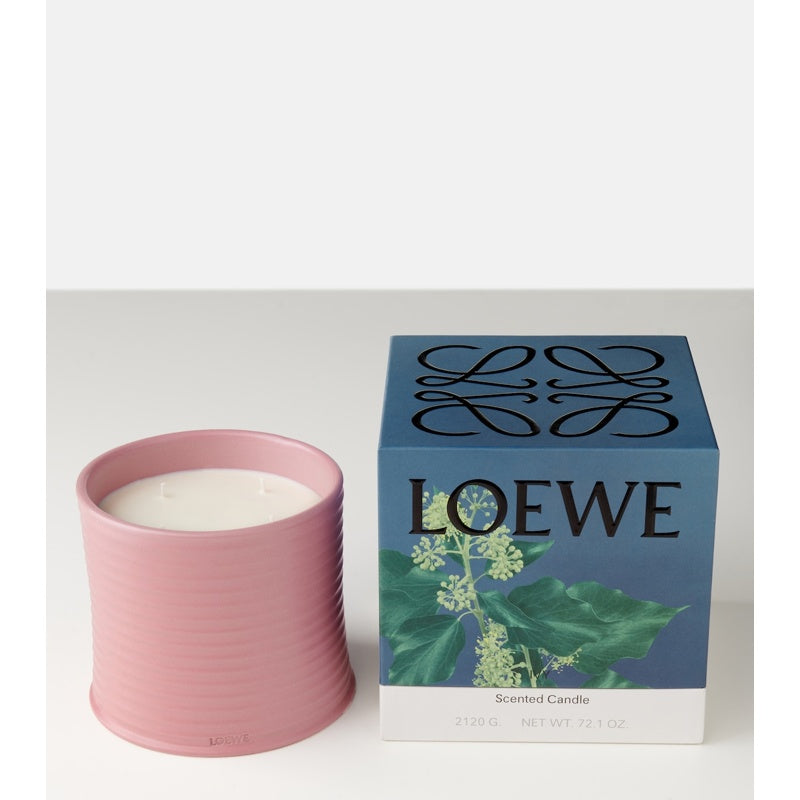 Vela grande Ivy - Mercado de Luxo - O Maior E-Commerce de Bens, Produtos e Serviços de Luxo do Brasil.