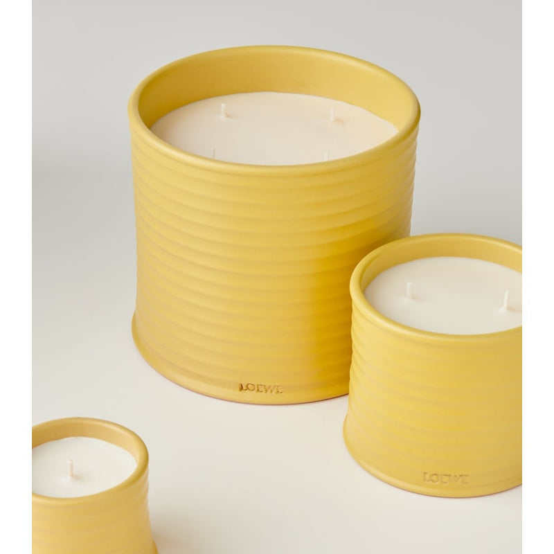 Vela média Honeysuckle - Mercado de Luxo - O Maior E-Commerce de Bens, Produtos e Serviços de Luxo do Brasil.