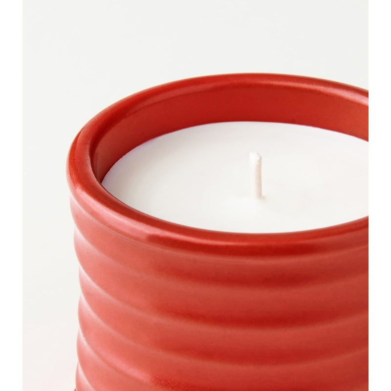 Vela Folhas Tomato Leaves - Mercado de Luxo - O Maior E-Commerce de Bens, Produtos e Serviços de Luxo do Brasil.