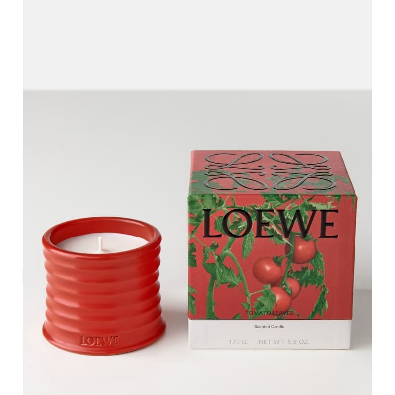 Vela Folhas Tomato Leaves - Mercado de Luxo - O Maior E-Commerce de Bens, Produtos e Serviços de Luxo do Brasil.