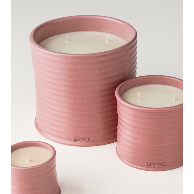 Vela pequena Ivy - Mercado de Luxo - O Maior E-Commerce de Bens, Produtos e Serviços de Luxo do Brasil.