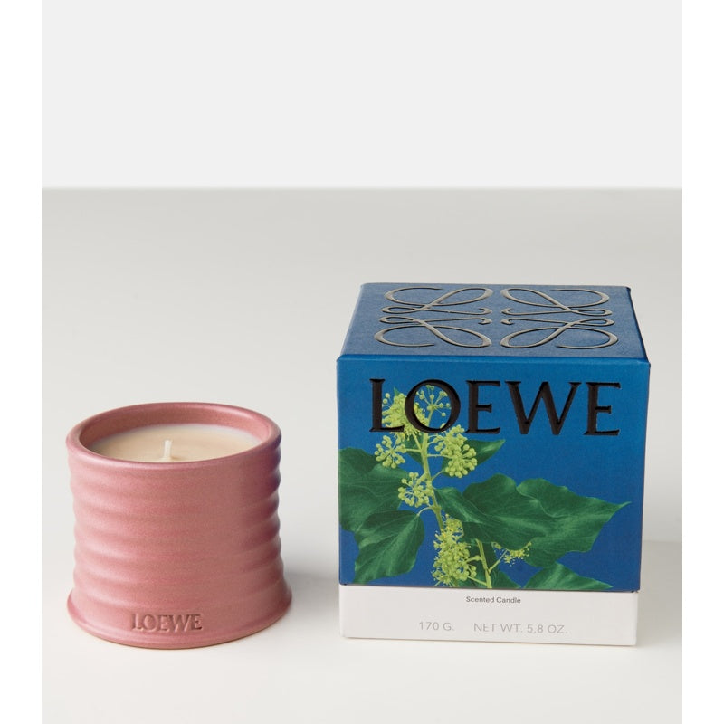 Vela pequena Ivy - Mercado de Luxo - O Maior E-Commerce de Bens, Produtos e Serviços de Luxo do Brasil.