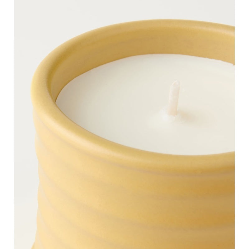 Vela pequena de madressilva - Mercado de Luxo - O Maior E-Commerce de Bens, Produtos e Serviços de Luxo do Brasil.